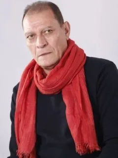 حمدي هيكل
